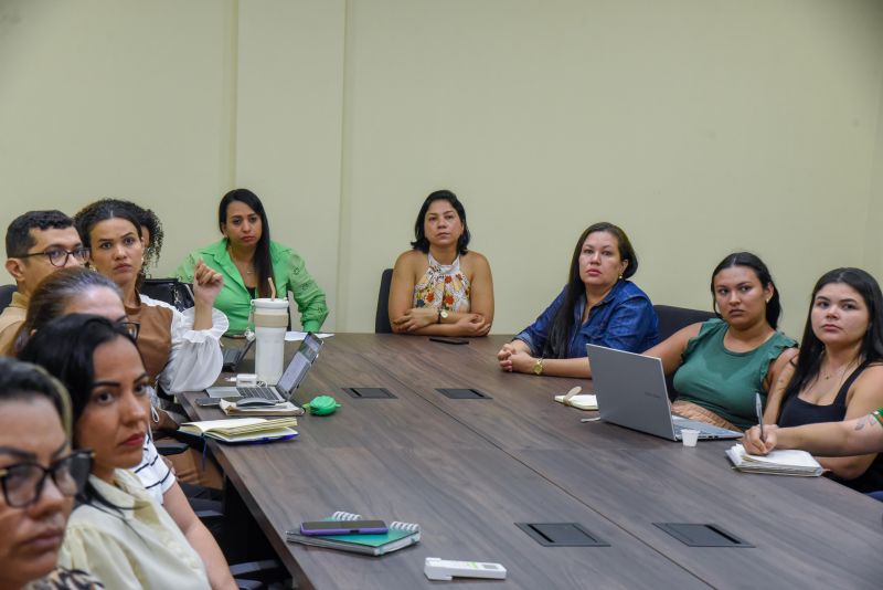 2º Dia de oficinas temáticas diretrizes econômicas e ambientais para o PPA 2026-2029 e LOA 2026 em Ananindeua