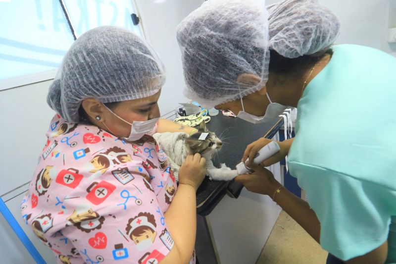 Castramóvel na quadra João Nunes no bairro 40Hs