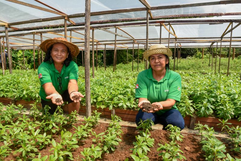Pré- Conferência Municipal no parque das águas no Curuçambá