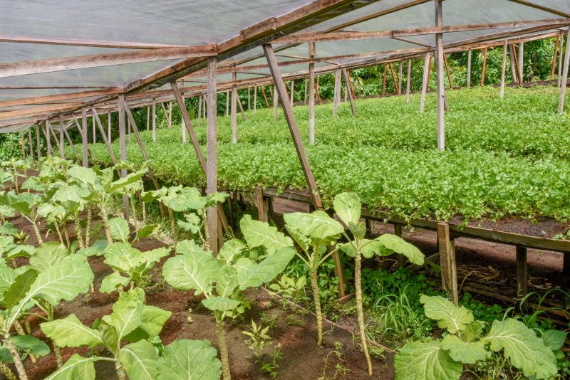 Pré- Conferência Municipal no parque das águas no Curuçambá