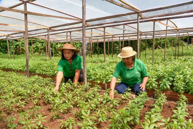Pré- Conferência Municipal no parque das águas no Curuçambá
