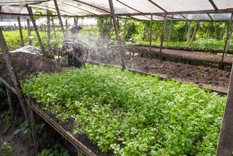 Pré- Conferência Municipal no parque das águas no Curuçambá