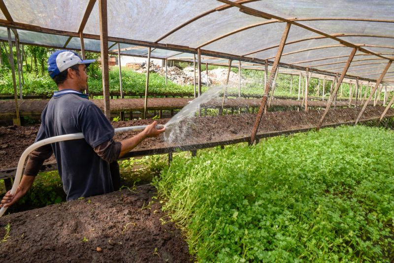 Pré- Conferência Municipal no parque das águas no Curuçambá