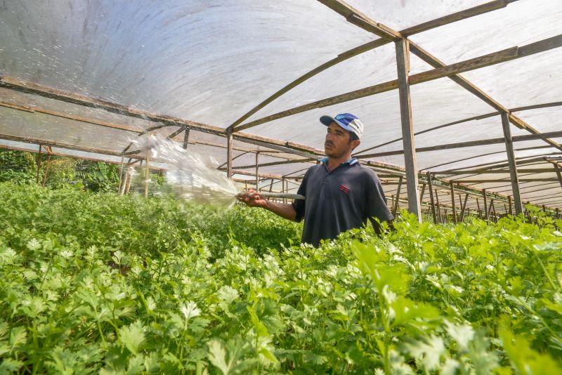 Pré- Conferência Municipal no parque das águas no Curuçambá