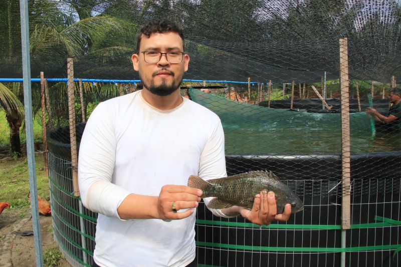 Repicagem na Unidade Demostrativa do Peixe Ananin no Curuçambá