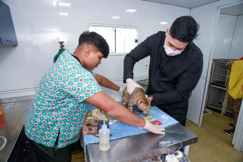 1º Dia de Castramóvel na Paróquia Santa Paula Frassinetti na Cidade Nova 4