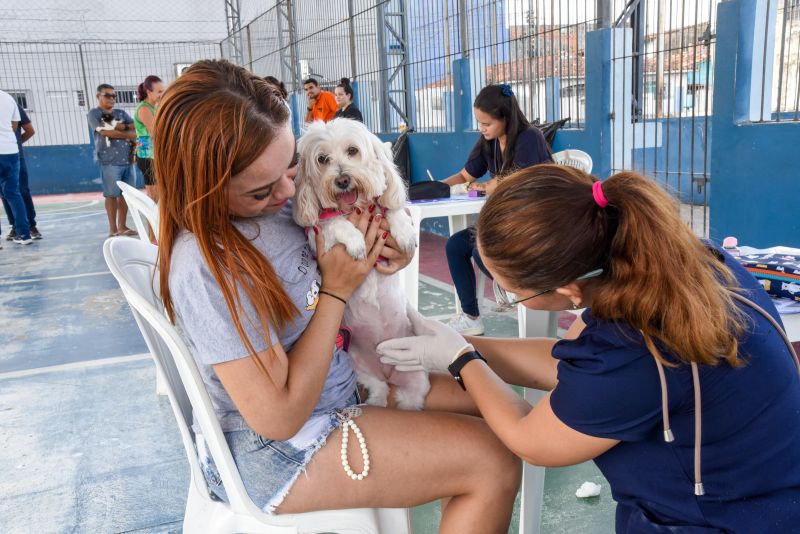 Programa Vet Ananin na Praça São Francisco de Assis na Cidade Nova Il