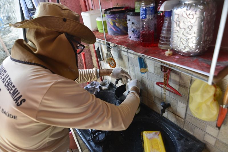 Ação contra Dengue, Zika e Chikungunya