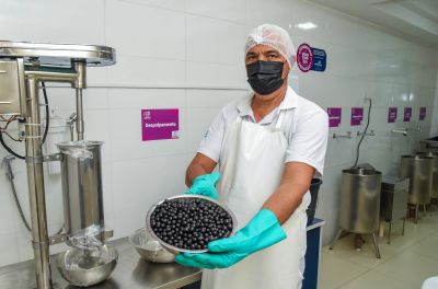 'Agora o cliente confia e volta’: capacitações mudam a vida de batedores de açaí em Ananindeua