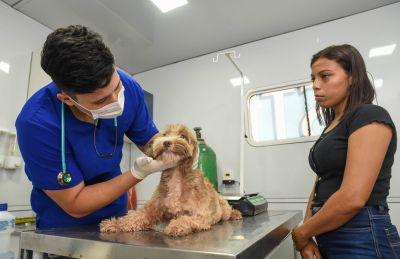 Ação de saúde animal leva serviços para moradores de Ananindeua no Dia do Trabalhador