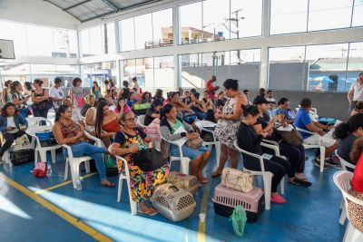 Ananindeua recebe mais uma edição do Castramóvel