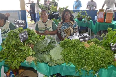 Feira da Agricultura Familiar e dos Povos Tradicionais movimenta Rotary Club de Ananindeua