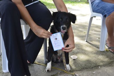 Programa “Vet Ananin” leva serviços de saúde para animais do bairro do Icuí-Laranjeira