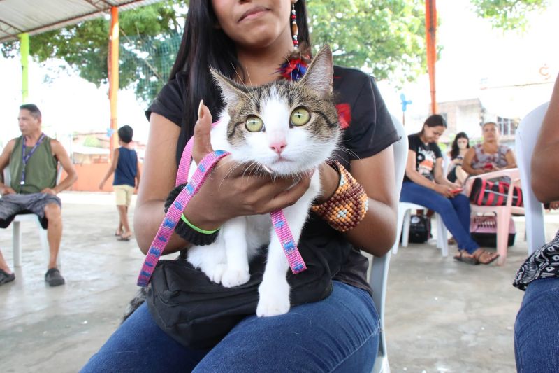 Ação Castramóvel na quadra João Nunes no 40 Horas
