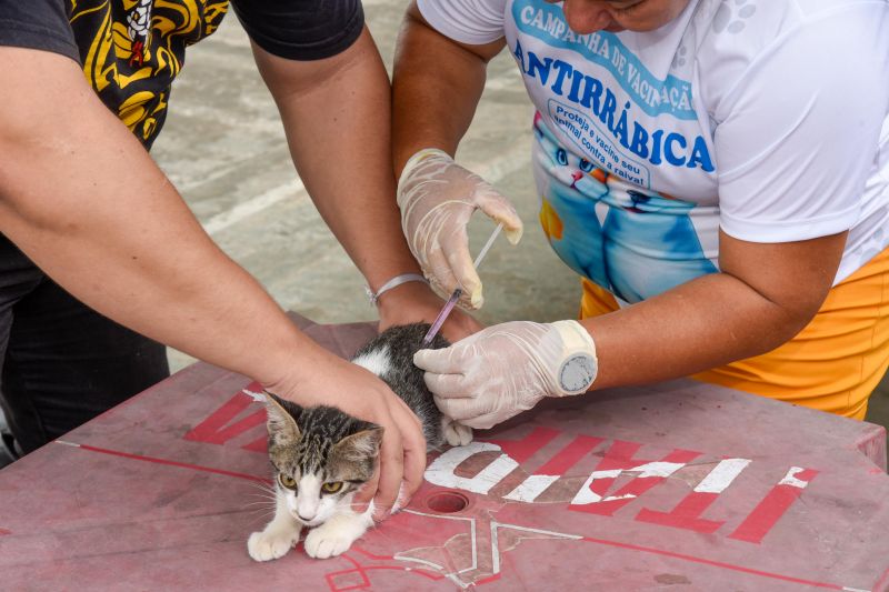 Programa Vet Ananin no bairro do 40 Horas