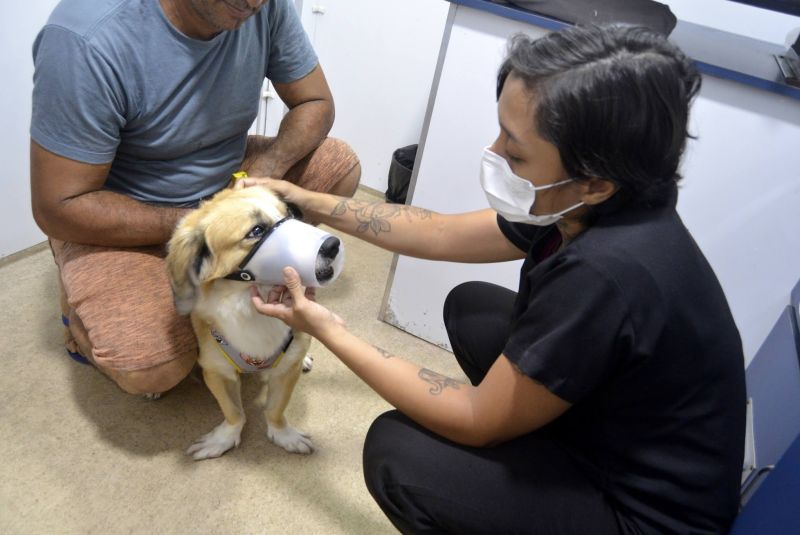 Castramóvel na passagem Iracema, no centro comunitário Cresce Una