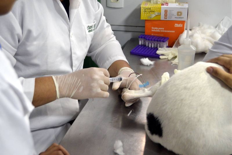 Castramóvel na passagem Iracema, no centro comunitário Cresce Una