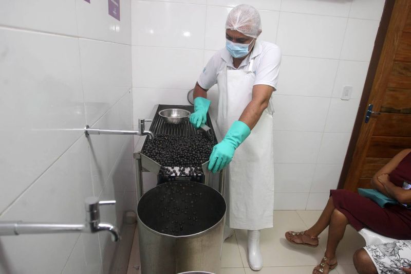 Curso batedores de açaí na Casa do Açaí