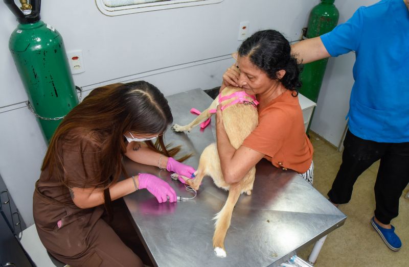 Ação Castramóvel no Guajará l