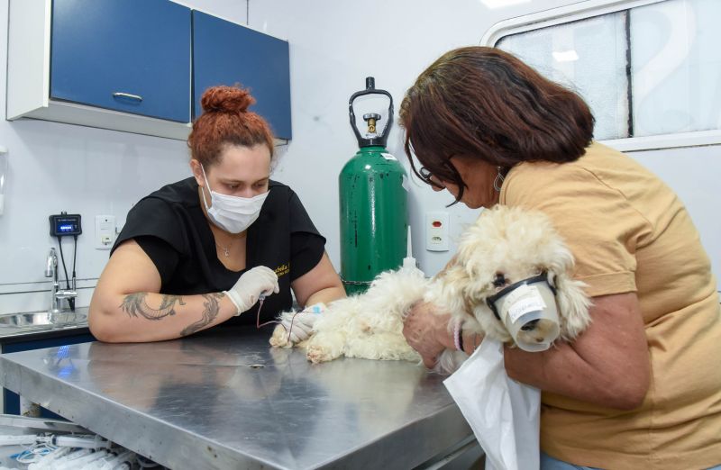Ação Castramóvel no Guajará l