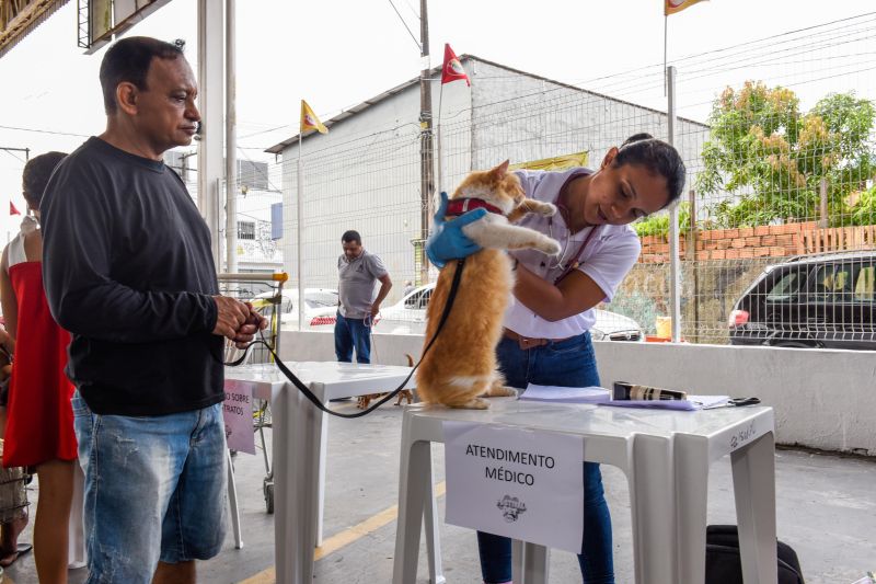 Festival Pet no estacionamento do supermercado Colina
