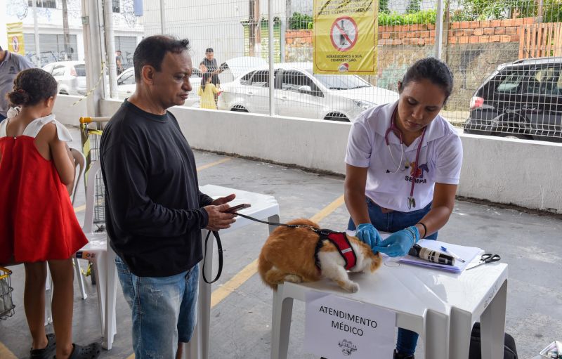Festival Pet no estacionamento do supermercado Colina