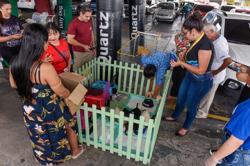 Festival Pet no estacionamento do supermercado Colina