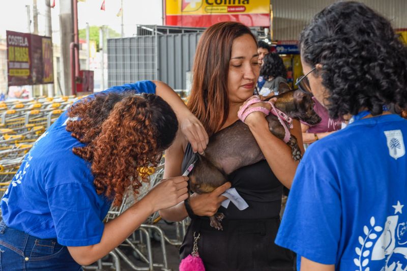Festival Pet no estacionamento do supermercado Colina