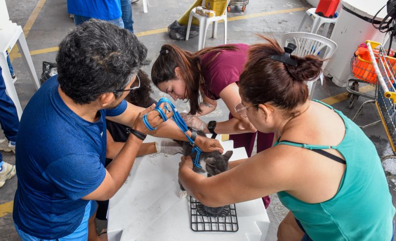 Festival Pet no estacionamento do supermercado Colina