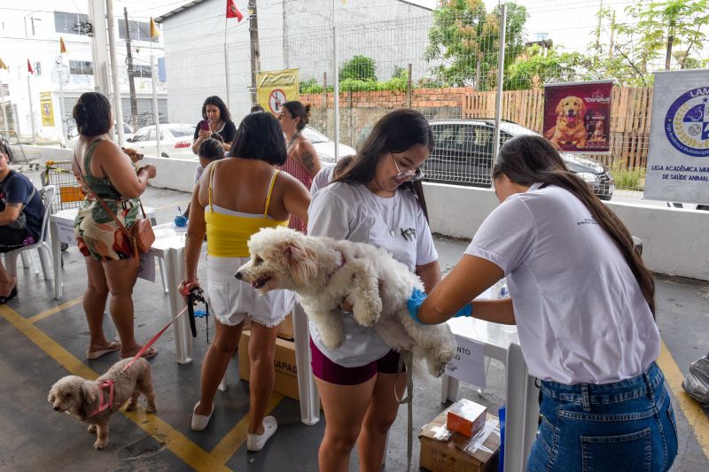 Festival Pet no estacionamento do supermercado Colina