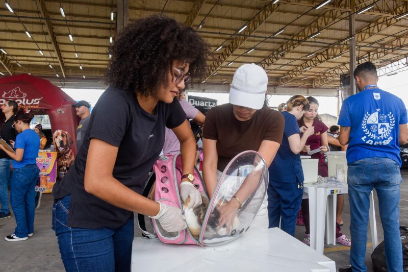 Festival Pet no estacionamento do supermercado Colina