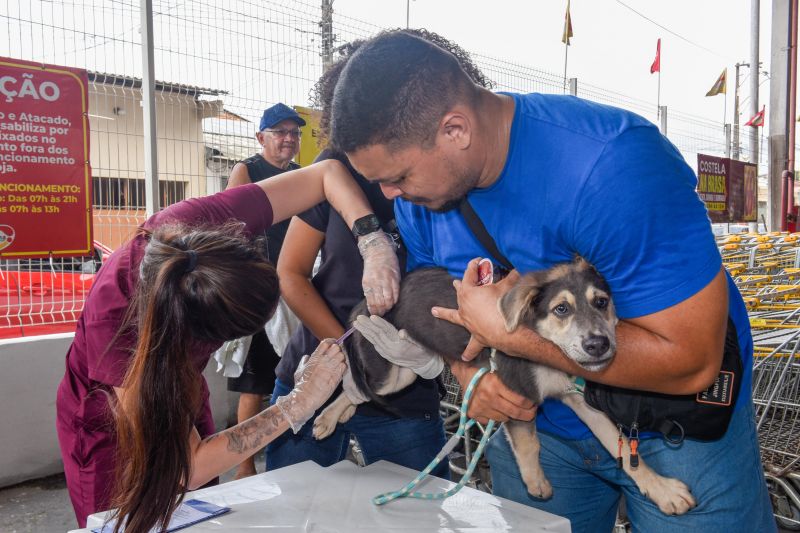 Festival Pet no estacionamento do supermercado Colina