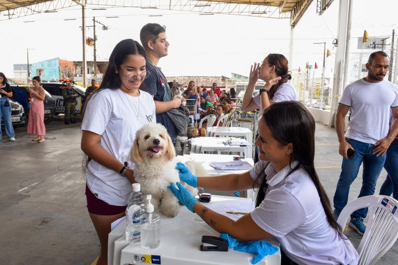 Festival Pet no estacionamento do supermercado Colina