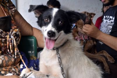 Programa Pet Amigo leva Castramóvel para o bairro do Una