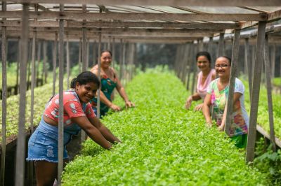 Ananindeua adere a pacto global por alimentação sustentável e reforça ações climáticas